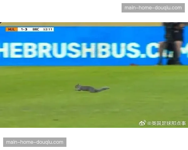 F1澳大利亚站排位赛因赛道出现小动物两次中断